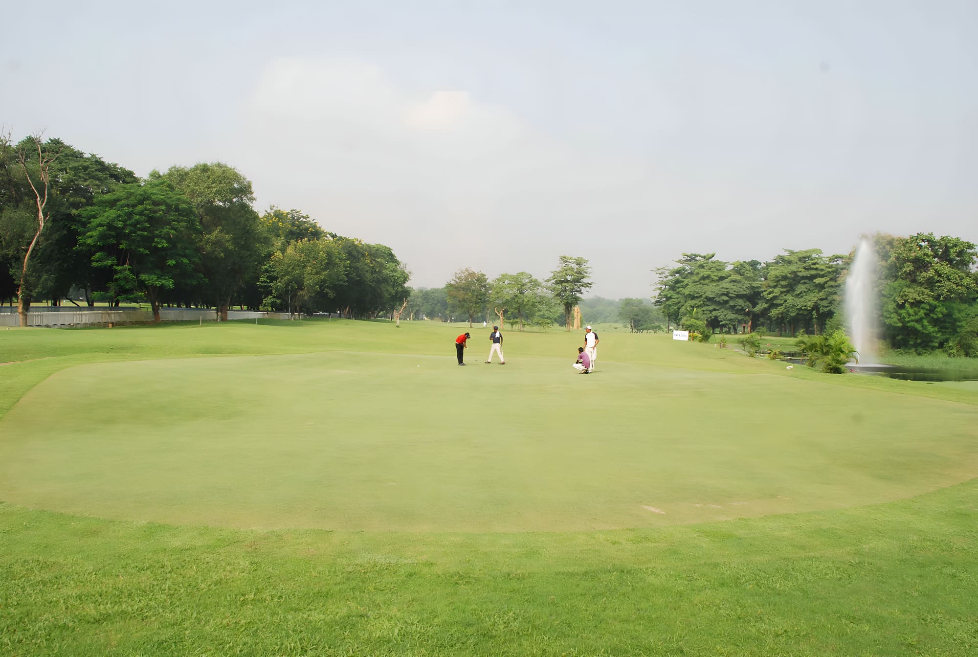 Golmuri Club Greens